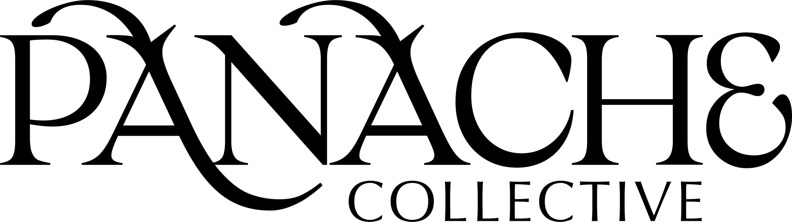 panache-collective.com